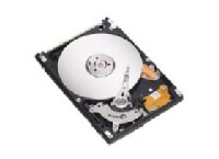 Seagate MOMENTUS 7200.1 100GB ATA (ST910021A)